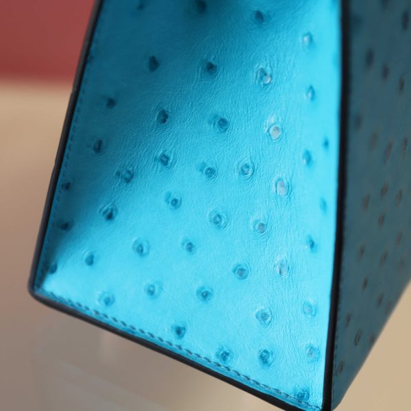 Kelly 25 Crystal Blue Ostrich GHW - Image 7