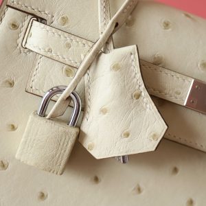 Kelly 25 Parchemin Ostrich PHW