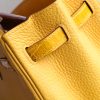 BK25 Touch Ambre Shiny Niloticus And Togo Leather PHW - BK - Image 7