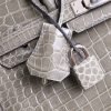 BK25 Gris Tourterelle Shiny Porosus PHW - BK - Image 2