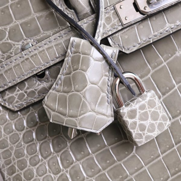 BK25 Gris Tourterelle Shiny Porosus PHW - BK - Image 2
