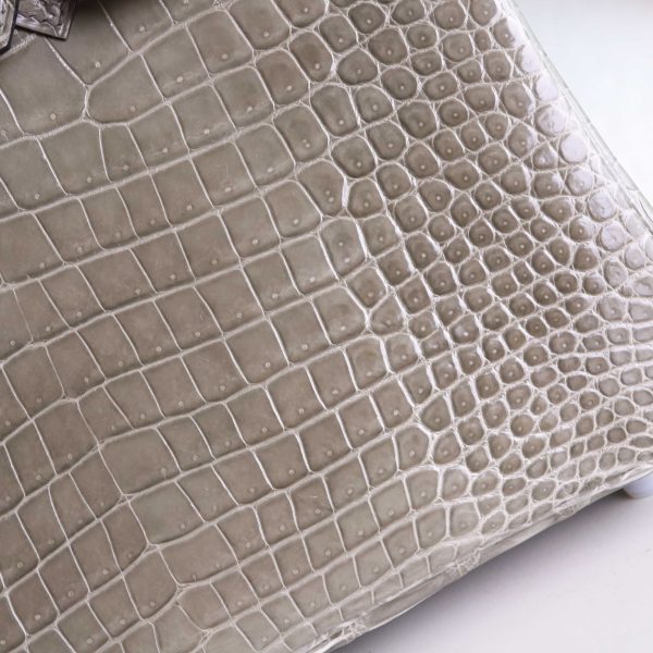 BK25 Gris Tourterelle Shiny Porosus PHW - BK - Image 5