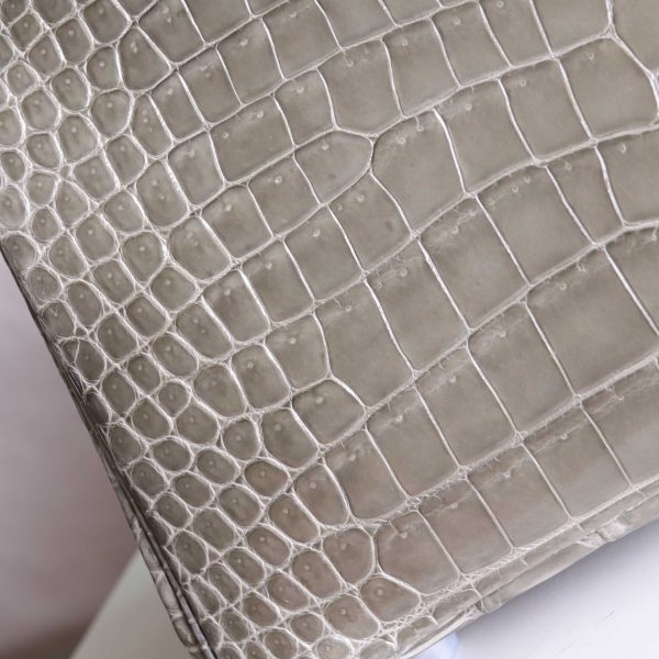 BK25 Gris Tourterelle Shiny Porosus PHW - BK - Image 7