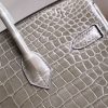 BK25 Gris Tourterelle Shiny Porosus PHW - BK - Image 6