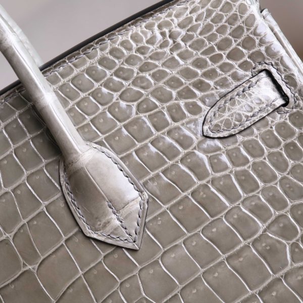 BK25 Gris Tourterelle Shiny Porosus PHW - BK - Image 6