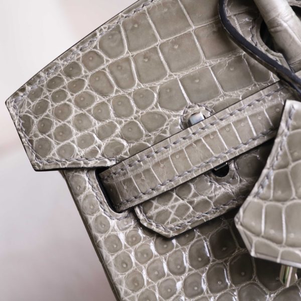 BK25 Gris Tourterelle Shiny Porosus PHW - BK - Image 10