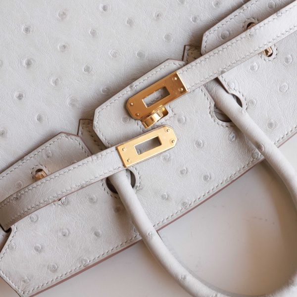 BK25 Pearl Grey Ostrich GHW - BK - Image 7