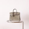 BK25 Gris Tourterelle Shiny Porosus PHW - BK
