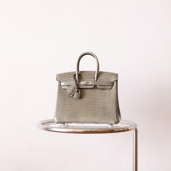 BK25 Gris Tourterelle Shiny Porosus PHW - BK