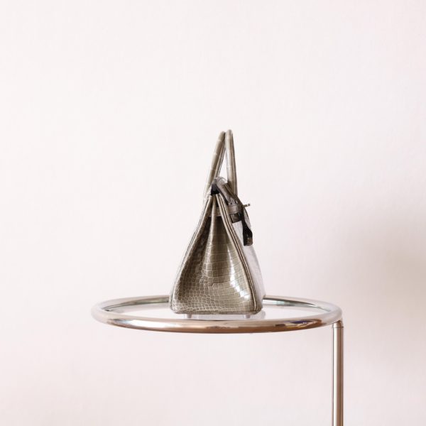 BK25 Gris Tourterelle Shiny Porosus PHW - BK - Image 12