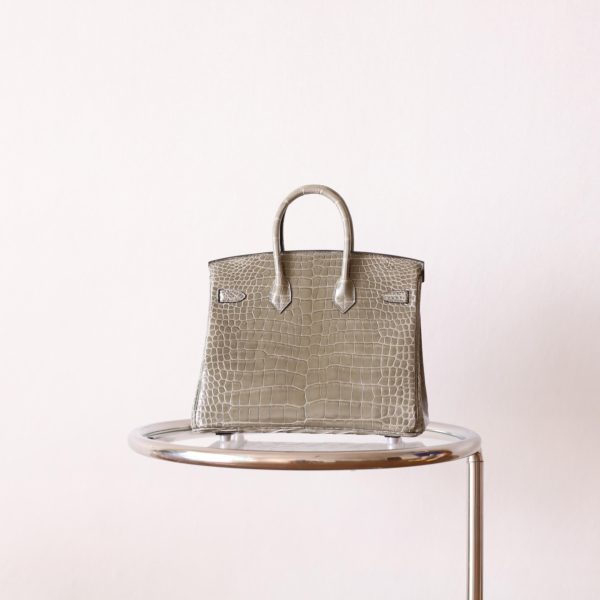 BK25 Gris Tourterelle Shiny Porosus PHW - BK - Image 13