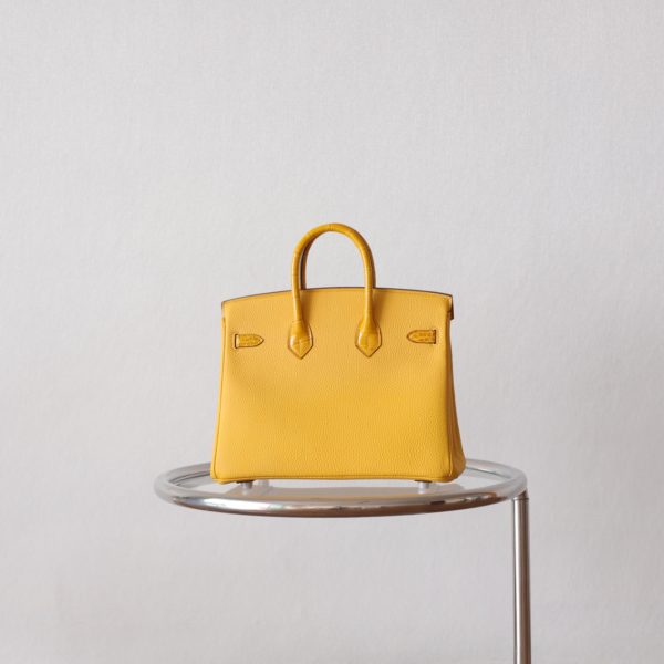BK25 Touch Ambre Shiny Niloticus And Togo Leather PHW - BK - Image 11